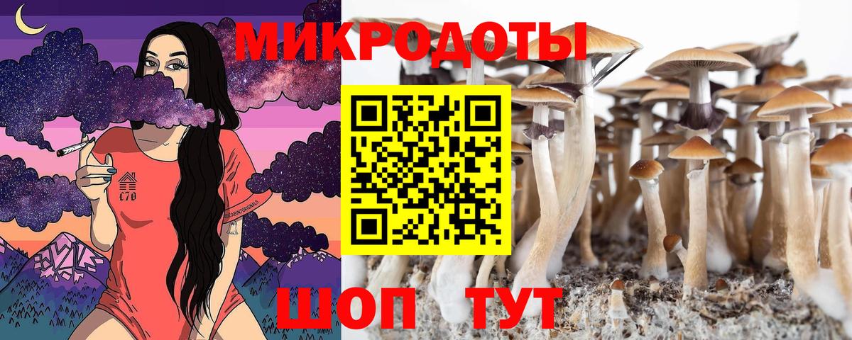 Галлюциногенные грибы Psilocybe Кинель
