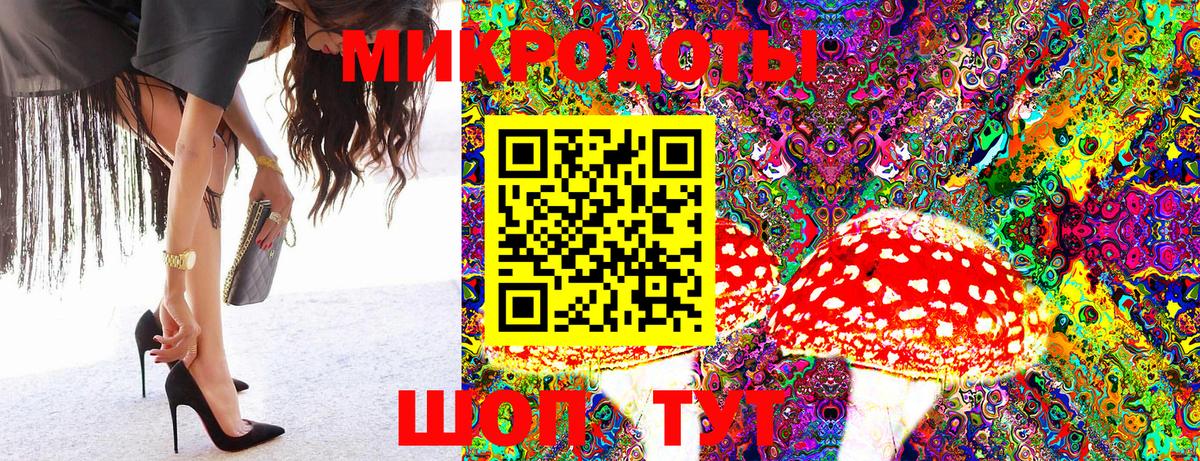 Кинель  Псилоцибиновые грибы GOLDEN TEACHER  Вход с VPN 